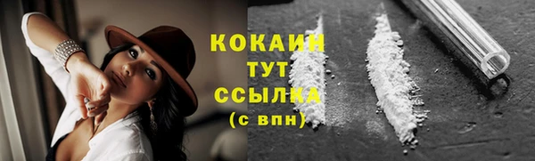 стаф Баксан