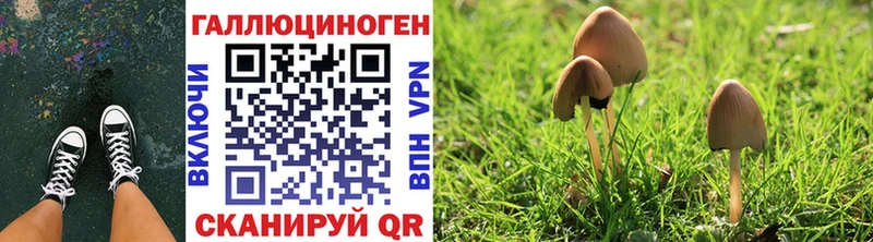 ссылка на мегу онион где найти наркотики Трёхгорный Псилоцибиновые грибы Psilocybine cubensis