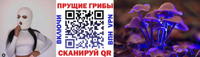 Псилоцибиновые грибы мицелий Трёхгорный