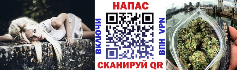 Канабис планчик цена Трёхгорный